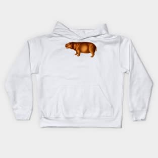 Hippopotamus naturalistic vintage art Kids Hoodie